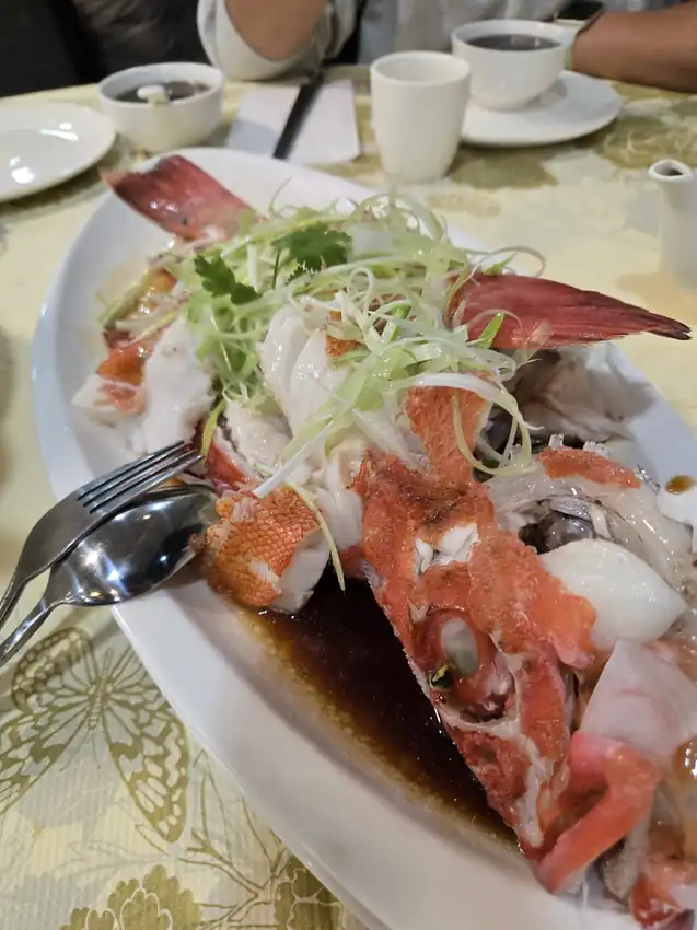 Steamed Whole Rock Cod · 清蒸紅斑